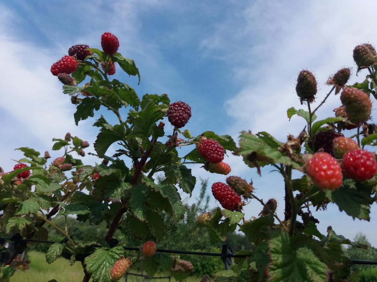 Appartamento In De 7E Hemel Grashoek Esterno foto