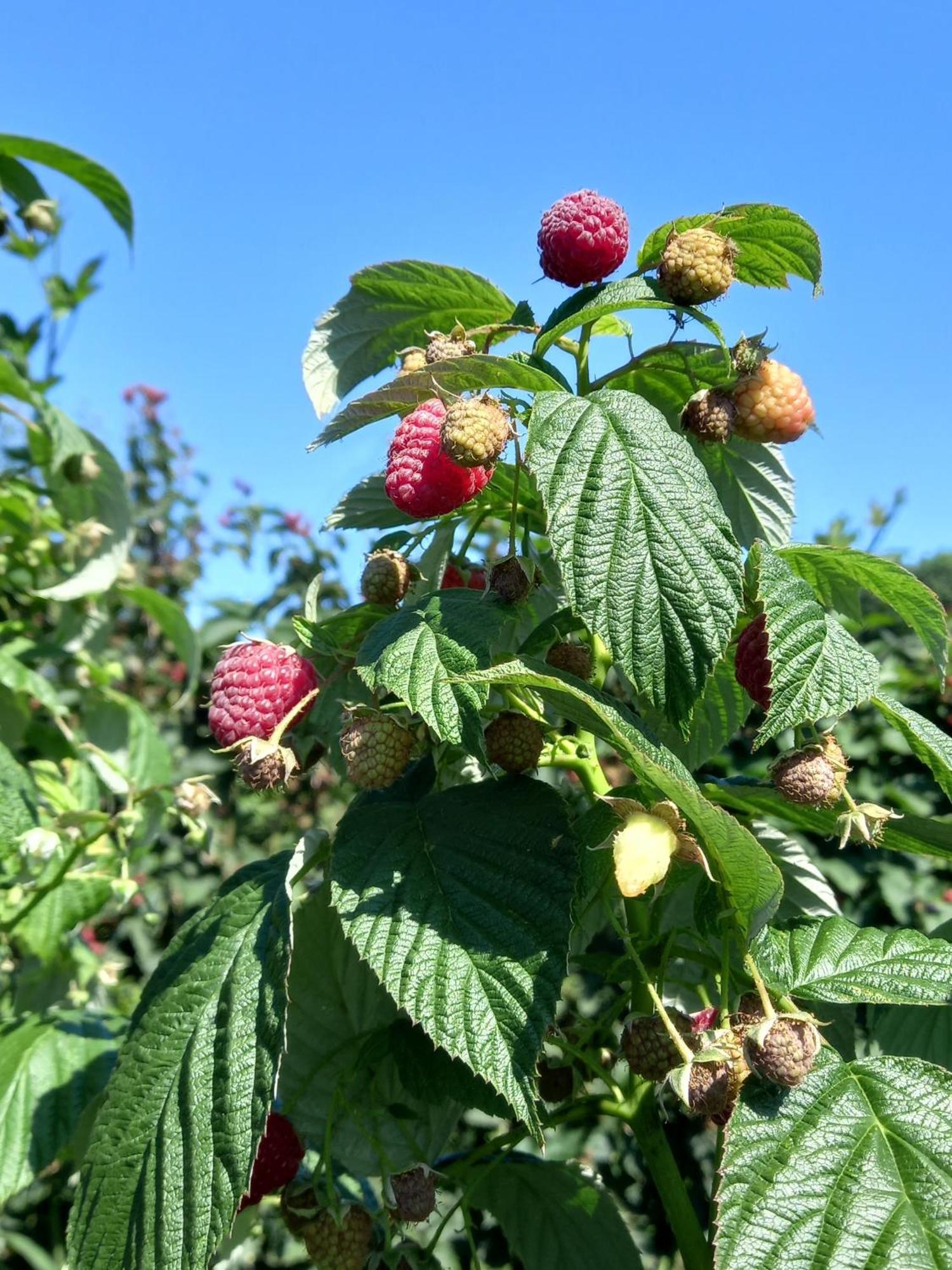Appartamento In De 7E Hemel Grashoek Esterno foto